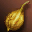 Seed: Gold Coba
